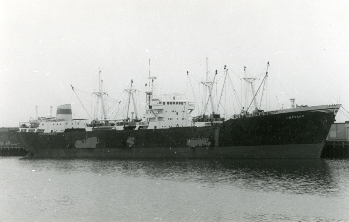 M/S Hervang (Ex. Amacita)(b.1957, A/S Burmeister & Wain’s Maskin- og Skibsbyggeri, København). Vaboens Rederi og Vaboen Shipping A/S (Olaf Vaboen).