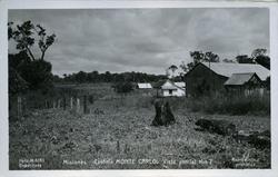 Gårdsbruk - Monte Carlo.