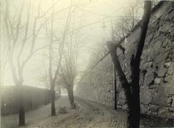 Prins Carls Bastion (sydsiden) set fra Øst