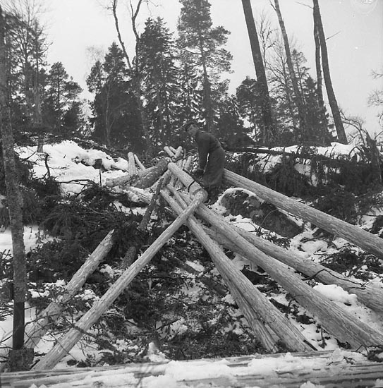 Enligt notering: "Skogshuggare Ivarsbo Feb 1951".