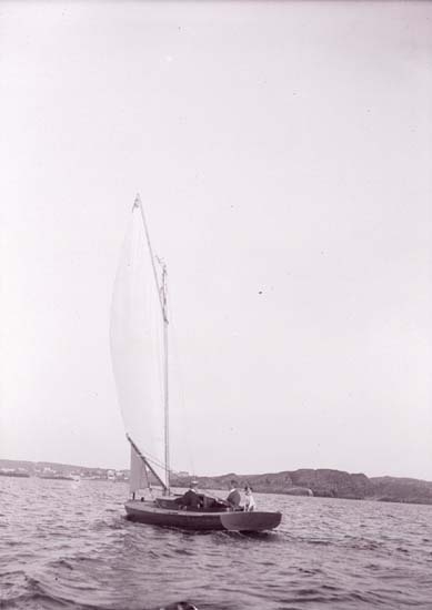 Segelbåten U.p.a  på Gullmaren 1908 med hunden Lisa