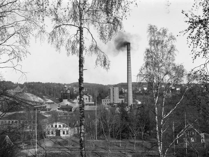 Enligt medföljande noteringar: "1947. 3. Munkedals fabrik."

Uppgifter från Munkedals HBF: "Fotot taget från Möe mark."
