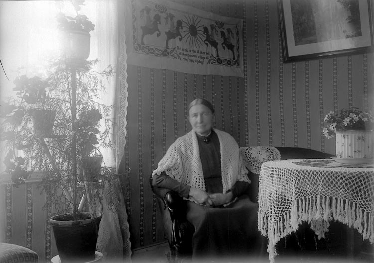 Enligt fotografens journal nr 2 1909-1915: "Josefsson, Fru, Vestergård".