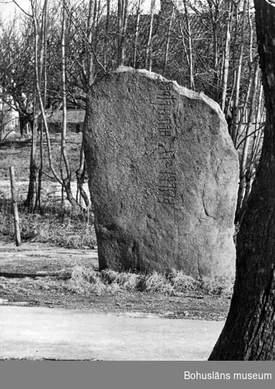 Runstenen vid Tanums kyrka är ett av de äldsta kända dokumenten på nordiskt språk. Inskriften, daterad till tiden omkr. 400 e. Kr. har tolkats Åt Thrawinge ägnades stenen.
Copyright: Strömstads Bokhandel.
Foto: Claes Claeson.