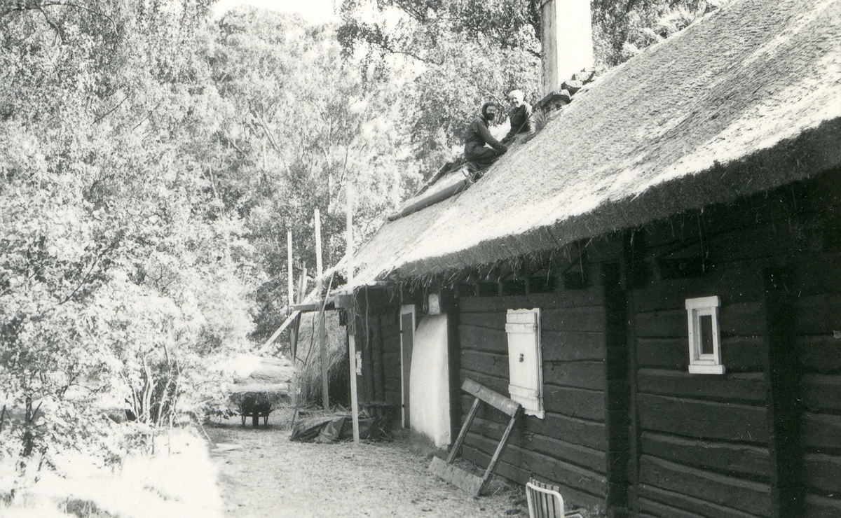 Halmtakläggning på manhusbyggnaden från Krafsagården i Olofstorp, Valinge i september 1980.