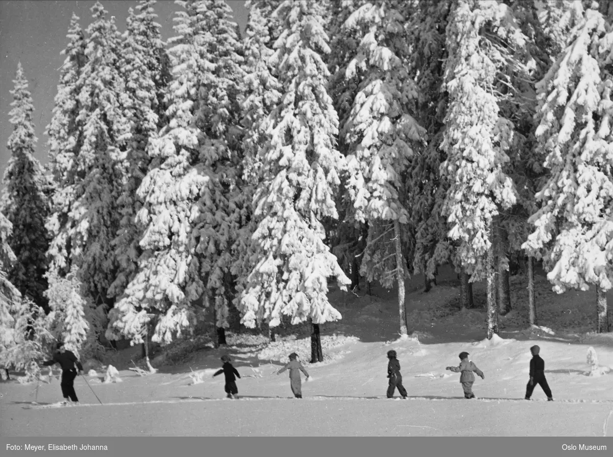 skog, mann, barn, Tomm Murstad barneskiskole, skiundervisning, granskog, snø