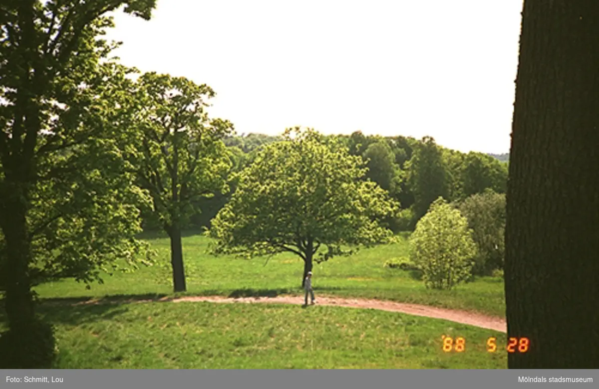 Man ser en vy av gräsmattor, flera träd samt en grusstig i Gunnebo slottspark.