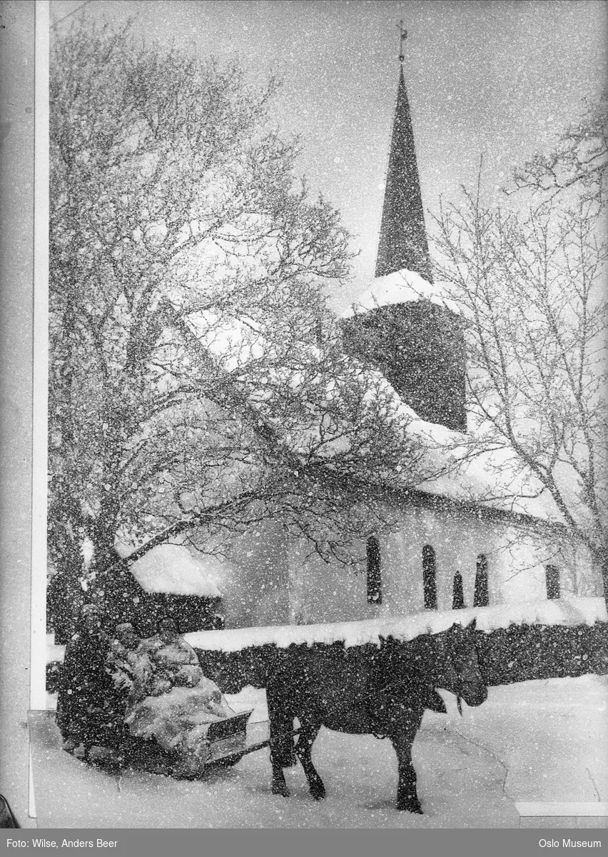 Tanum kirke, snø, kanefart, hest, slede, mennesker3, pelsverk