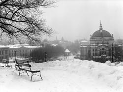 Utsikt fra Abelhaugen.