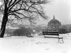 Utsikt fra Abelhaugen.