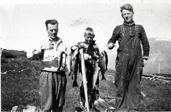 Fisk frå Huldretjørn  ved Ålruststølane i Hemsedal  i 1940.
