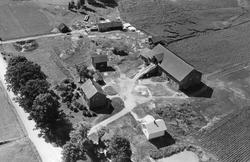 Gården Berg i Eidsberg, flyfoto 4. august  1951.