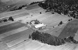 Gården Ruud i Eidsberg, flyfoto 4. august  1951.