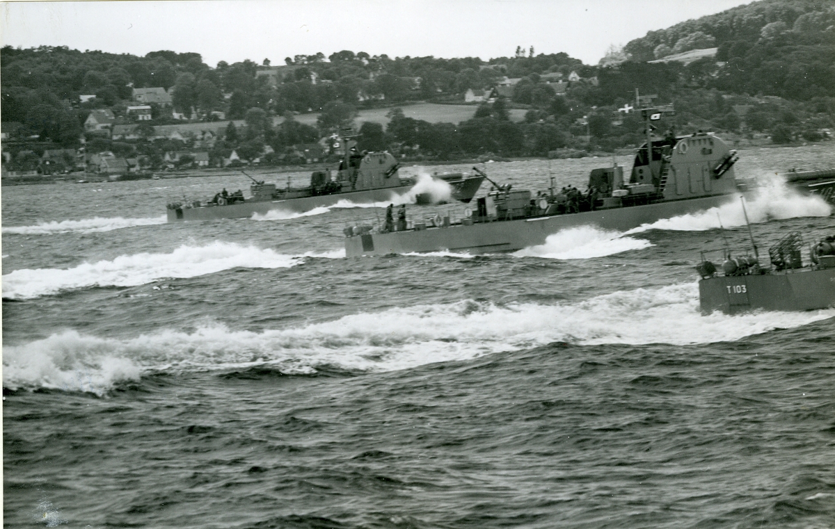 Torpedbåtarna T 103 - Polaris, T 104 - Pollux samt T 102 - Plejad.