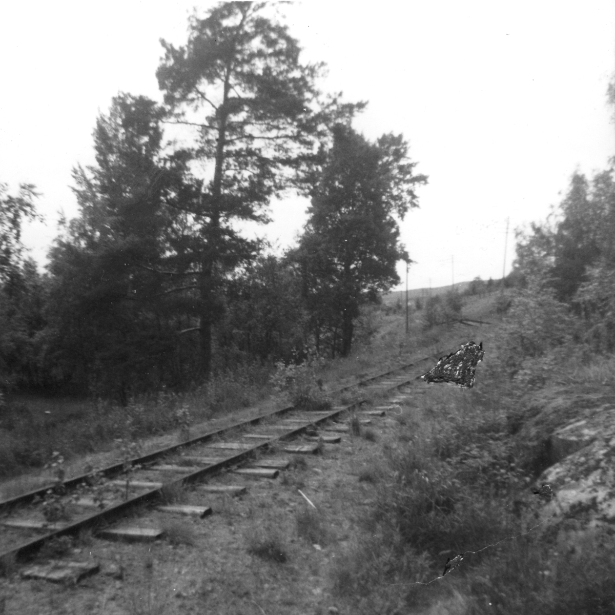 Nær Hornåseng stasjon, retning syd.