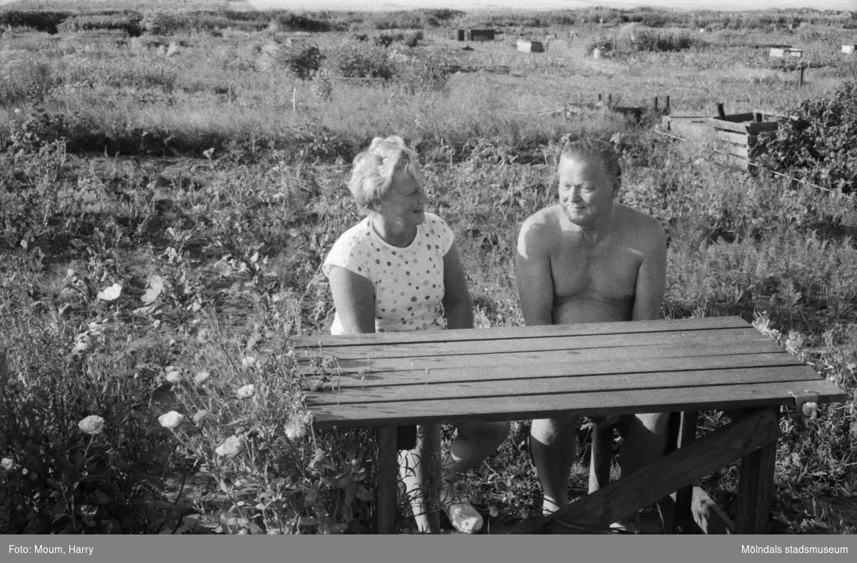 Makarna Olssons odlingslott vid Lindevi i Lindome, år 1984. "Familjen Olsson från Kållered trivs jättebra på sitt jordbruk i miniatyr i Lindome."

För mer information om bilden se under tilläggsinformation.
