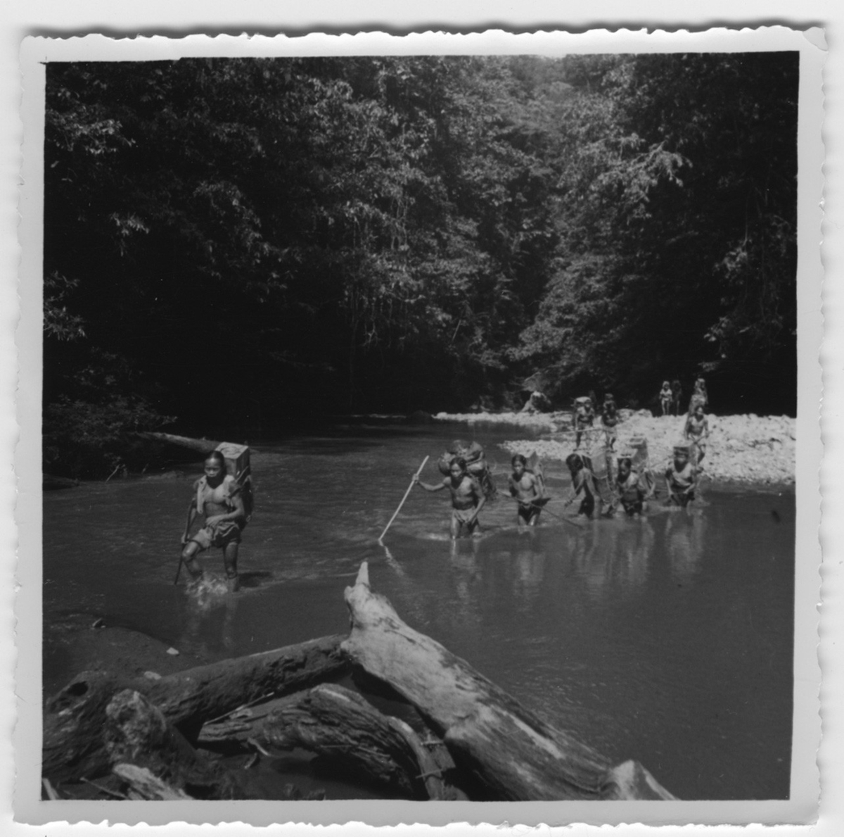 'Ca 13 personer bärande packning över flod. Text på baksidan: ''Från en urskogsvandring med 28 bärare mellan Sembakong - och Tachitfloden. R. Blomberg'' ::  :: Ingår i serie med fotonr. 4038:1-4.'
