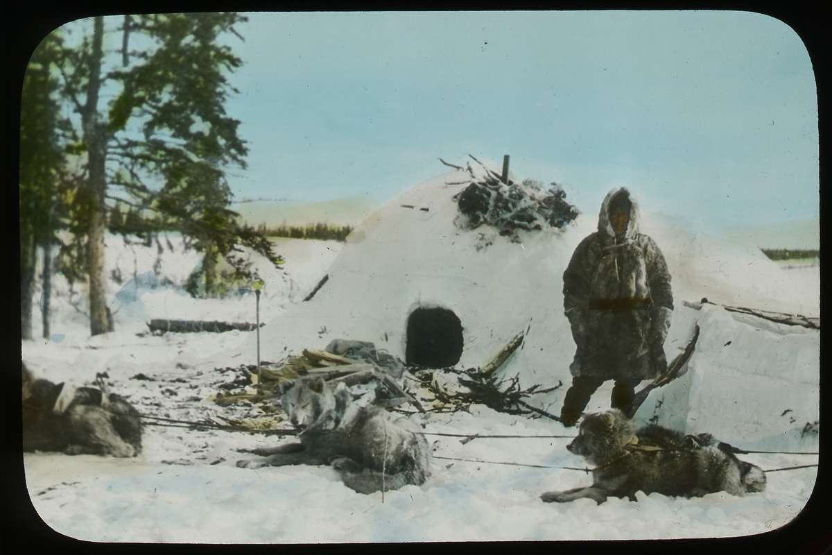 '1 man, inuit (eskimå), med 3 hundar  framför sin snöiglo. Text på på glaset: ''An eskimo at Hudson Bay with his dogs and snow house.'' Kläder. Klädsel. ::  :: Ingår i serie med fotonr. 5203:1-22. Se även hela fotonr. 5202-5218 med bilder från Frits Johansen.'