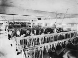 Kalnes Landbruksskole i Tune, Sarpsborg,, ca. 1930. Interiør