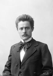 mannportrett
organist
musiker