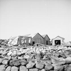 Ei rekke med naust på Ulla. To av nausta var rasert av storm