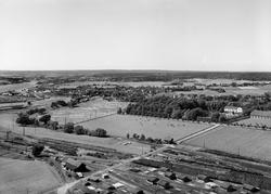 Oversiktsbilde fra Borregård Hovedgård, inngangsparti til Bo