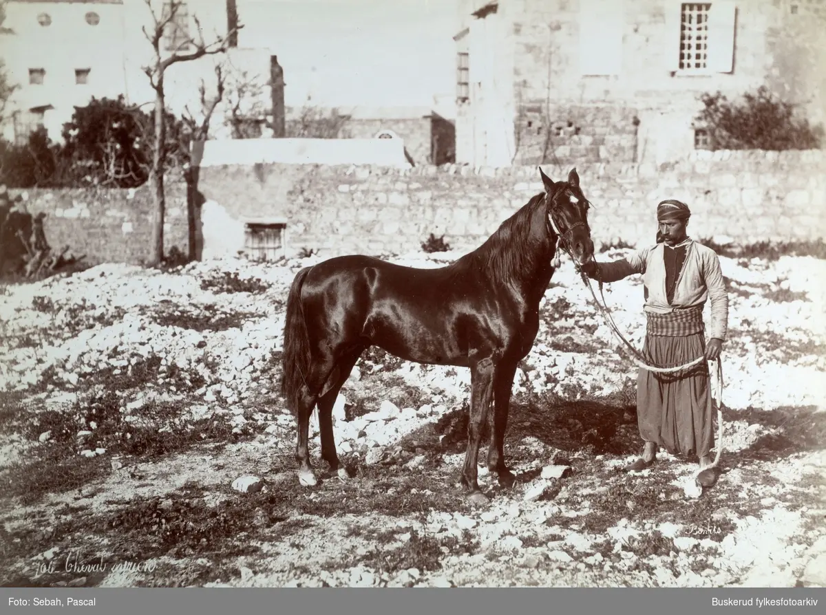 Palestiner  på sin hest fotografert i Gaza by