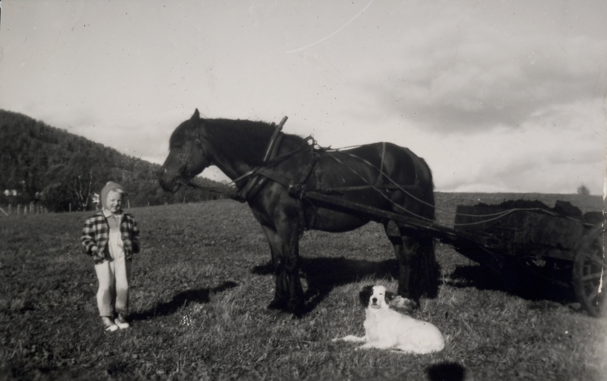 Jente, hund og hest med møkkervogn.