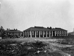 Pesten i Oporto o.l.