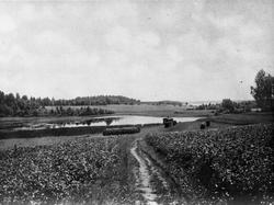 Finland, Norges Vel 28/2 23