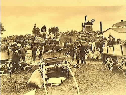 Marknad i Odensbacken 1908.
