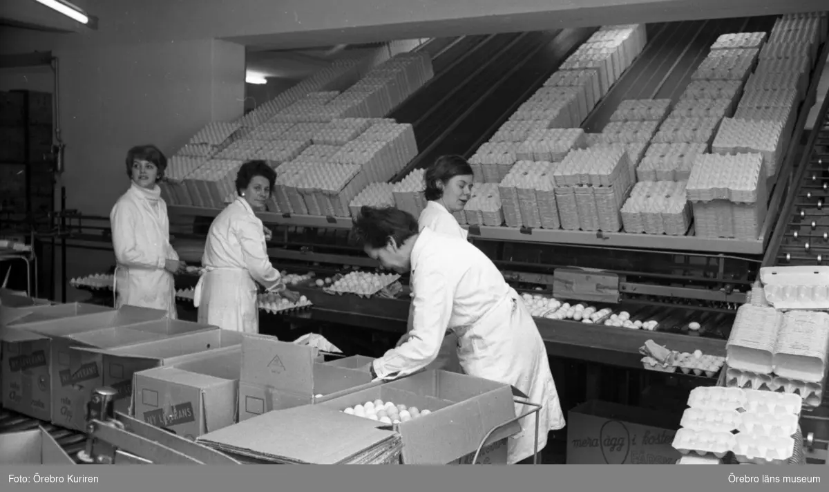 Jordbruksnummer, 12 mars 1969.

Äggproducenter konkurrerar ihjäl varandra. Fler äter ägg men mindre lönsamhet.