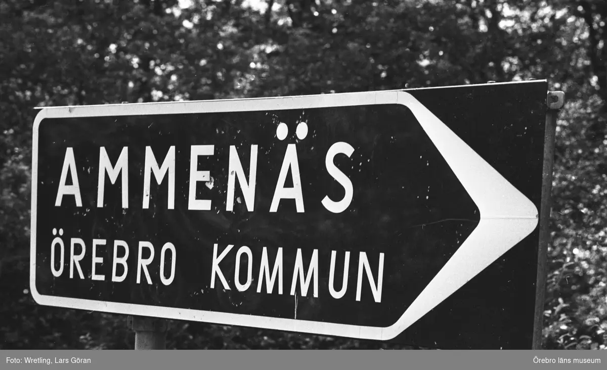 Sista Ammenäs sommaren? 28 juli 1981.Oro för att kolonin i Ammenäs skulle avvecklas från Örebro kommuns verksamhet.De kommunala partierna ansåg generellt - de borgeliga partierna med Centern i spetsen drev frågan - att  koloniverksamheten var för dyr. Istället föreslogs att ekonomin skulle investeras i Ånnaboda.