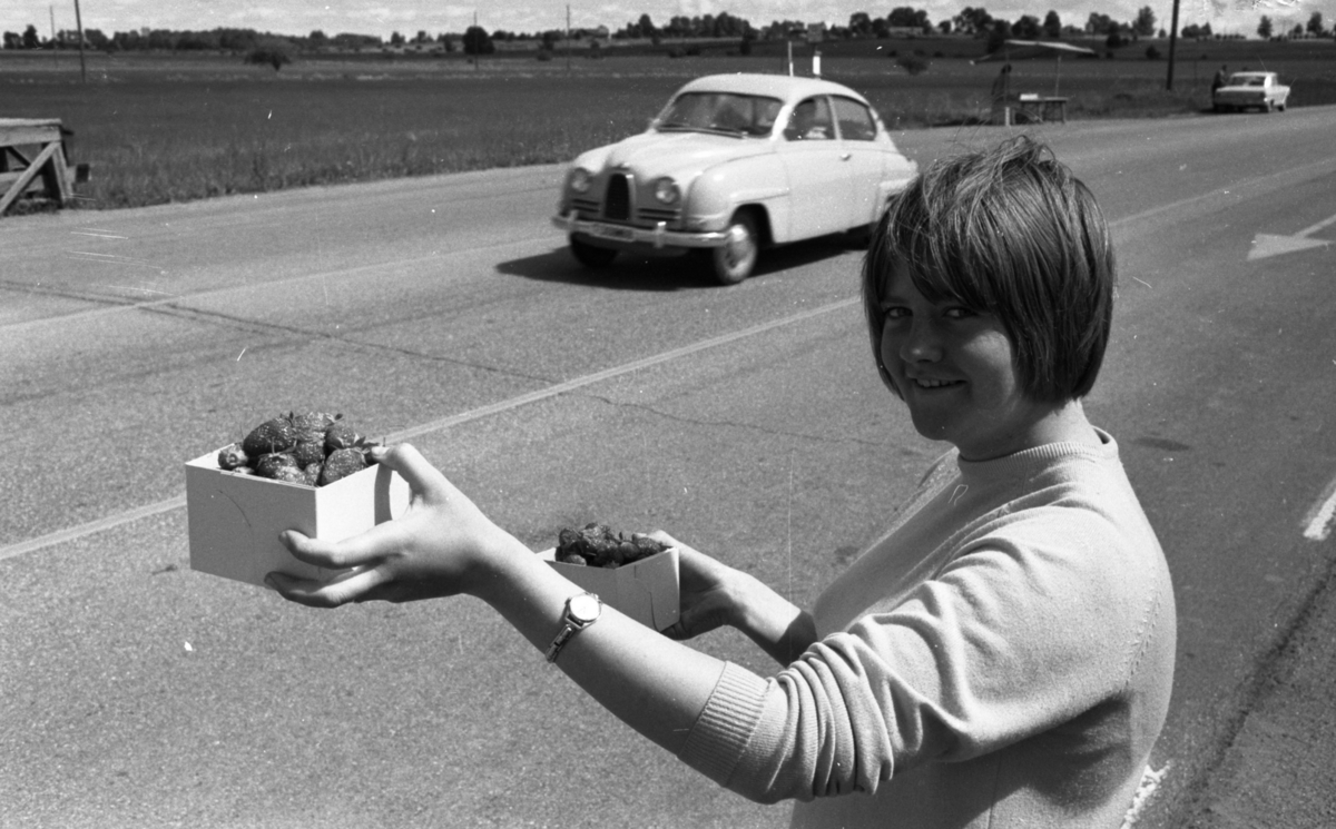 Jordgubbar 12 juli 1966

En kvinna håller upp två kartonger fyllda med jordgubbar. I bakgrunden syns ett försäljningsstånd där jordgubbar säljs. En kvinna står i detta. En bil passerar på gatan bakom kvinnan som håller i jordgubbskartongerna. En bil står även parkerad vid jordgubbsståndet i bakgrunden och två personer står invid denna.