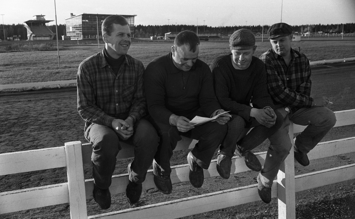 Miss Backfisch Kandiden, Travtipset, Möbler på golvet 7 oktober 1967

Fyra herrar sitter på ett vitt plank vid en travbana. Den ene håller i en broschyr.