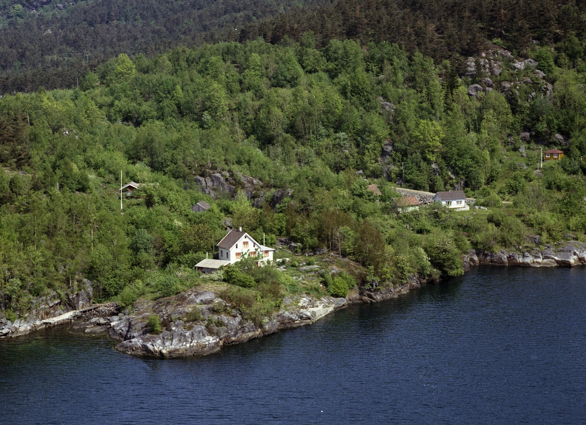 Hus brygge skog fjord