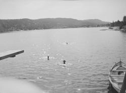 Tre personer svømmer i sjøen. Vi ser litt av et stupebrett o