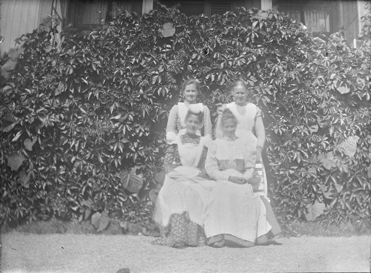 Fire kvinner, alle med hvite forklær, er oppstillt for fotografering. I bakgrunnen sees en vegg av klatreplanter. det er sommer.
