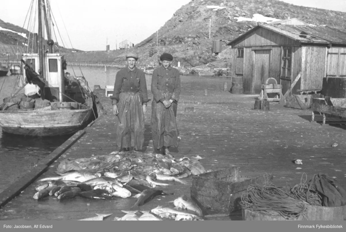 To menn poserer på kaia i Havøysund. Mannen til venstre på bildet er Alfred Stabell og ved siden av ham står Martin Kristiansen. Begge mennene har vide, mørke regnbukser og mørke jakker på seg. Alfred har en lys skyggelue og en kniv i sin høyre hånd.  Noen fisk ligger i en haug foran dem og noen kveiter/flyndrer nærmest kamera. To stamper med liner eller garn og en fiskekasse av tre er ved siden av fisken. Til venstre på bildet ligger en sjark. Det hvite styrhuset står rett foran mesanmasta og noen stamper ses på hekken. Brakka til høyre på bildet er en del av Samvirkes fiskebruk. Bygget har umalt, stående panel og skodder for vinduene. På røstveggen er en dør og en bukk eller palle står like ved. Fjelltoppen i bakgrunnen er Ørahauen. Det er mest stein og noen snøflekker. En stor mørk tank står ved foten av hauen og flere el-stolper går langs veien. Det står en liten og lys brakke på eidet før terrenget skrår oppover igjen. Oppe til venstre på bildet står flere fiskehjeller.