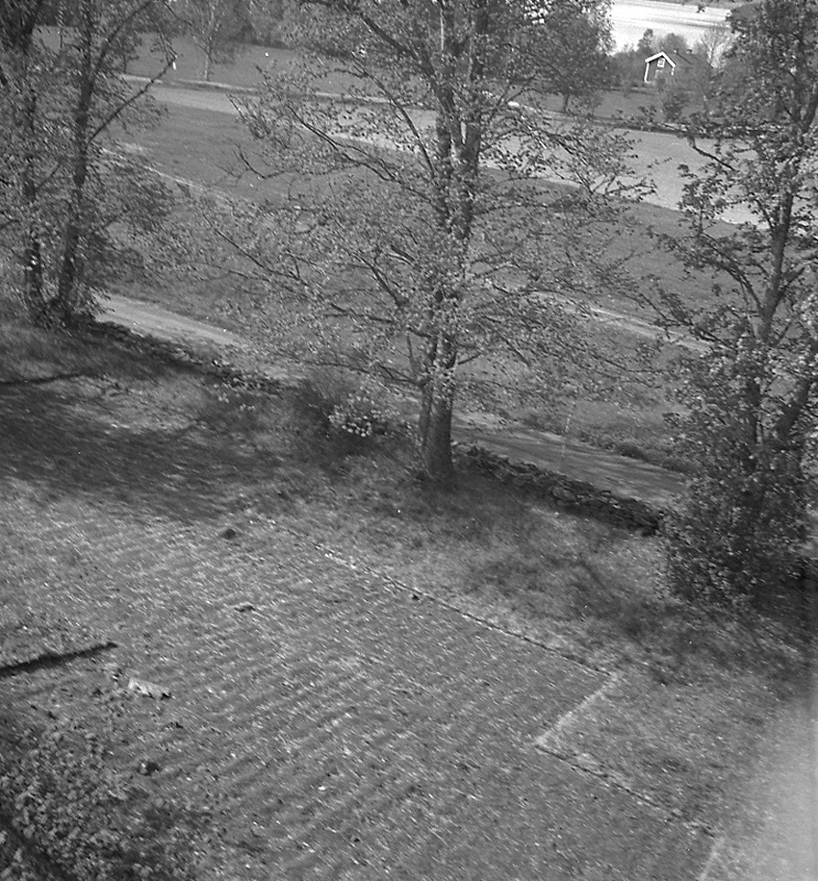 Siggebohyttans bergsmansgård, trädgården. Bergsmansgården i bakgrunden.
27 juni 1955.