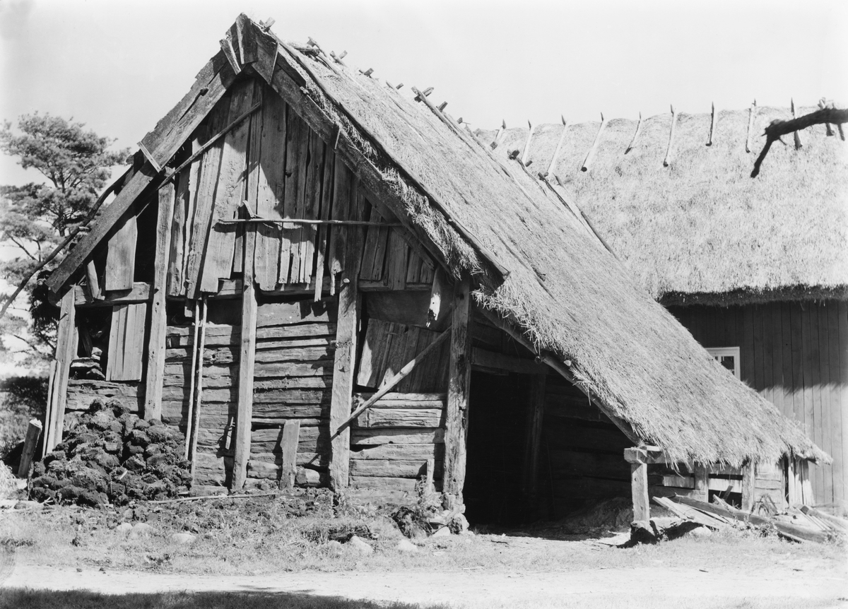 Exteriör av ladugård med utbyggnad på Djupsås, Essunga socken, Barne härad i Västergötland. Byggnadens tak är belagt med vass eller halm.