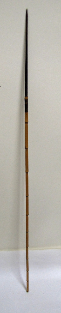 En av tre pilar. Träspets stuckna i rör. Längd: 101 cm. Söderhavet.

Föremålet tillhör den etnografiska samlingen.