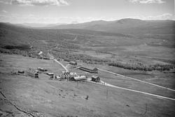 Hjerkinn fjellstue, Dovre, 08.07.1952, veier, blandingsskog,