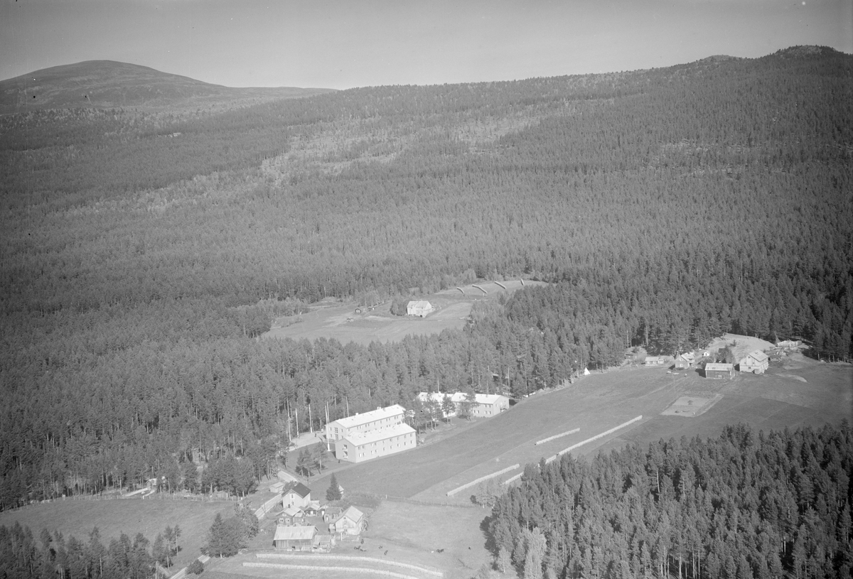 Dovrefjell Hotel, Dombås, Dovre, 15.09.1953, tre omkringliggende gårder, jordbruk, hesjing, barskog, åser og fjell i bakgrunnen