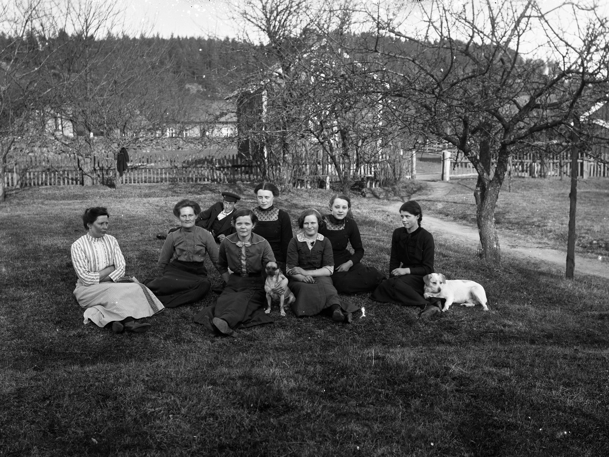 Gruppbild med sju kvinnor, en man och två hundar fotograferade utomhus.