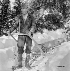 "Hankekjøring for hånd, Vestre Gausdal,  Kristofer Kronberge