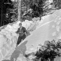 "Hankekjøring for hånd, Vestre Gausdal,  Kristofer Kronberge