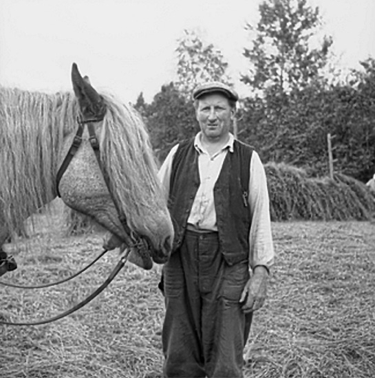 En man med en häst.
Lantbrukare Hjalmar Hellsten