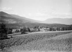 Heggerud pensionat, 10.07.1914, pensjonat, gårdsbruk, jordbr