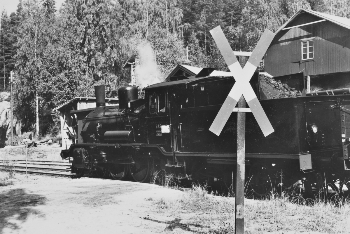 A/L Hølandsbanens veterantog til Krøderen har ankommet Morud stasjon. Toget trekkes av damplokomotiv 18c 245.